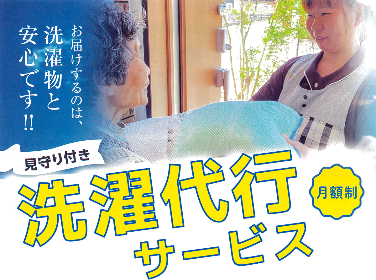 ピンポンウォッシュ
